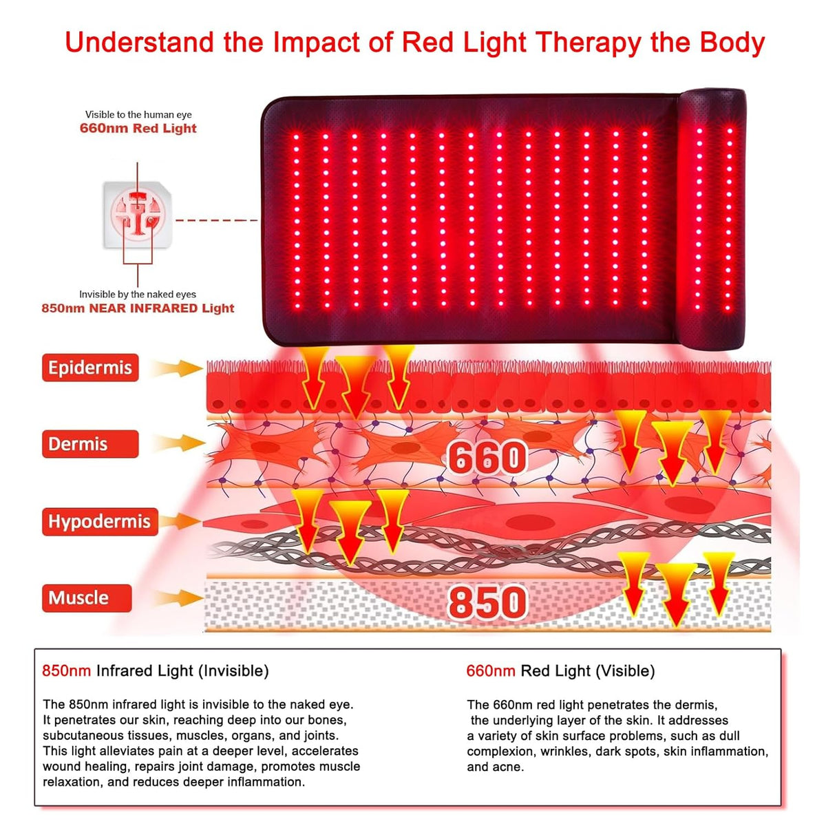 CALMORA Infrared Red Light Therapy, Red Light Therapy Mat with Neck Support, 660nm&850nm NIR Deep Wavelength Blanket Pad for Back Belly Knee Shoulder HIPS Body Pain Relief
