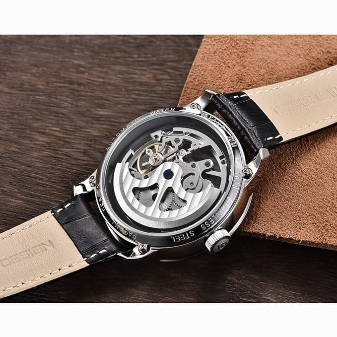 Automatic Mens Watches Skeleton Mechanical Wrist Watch for Men Waterproof Genuine Leather Watchband Luxury Self-Winding Stainless Steel Analog Watch for Men Collection PAGANI DESIGN
